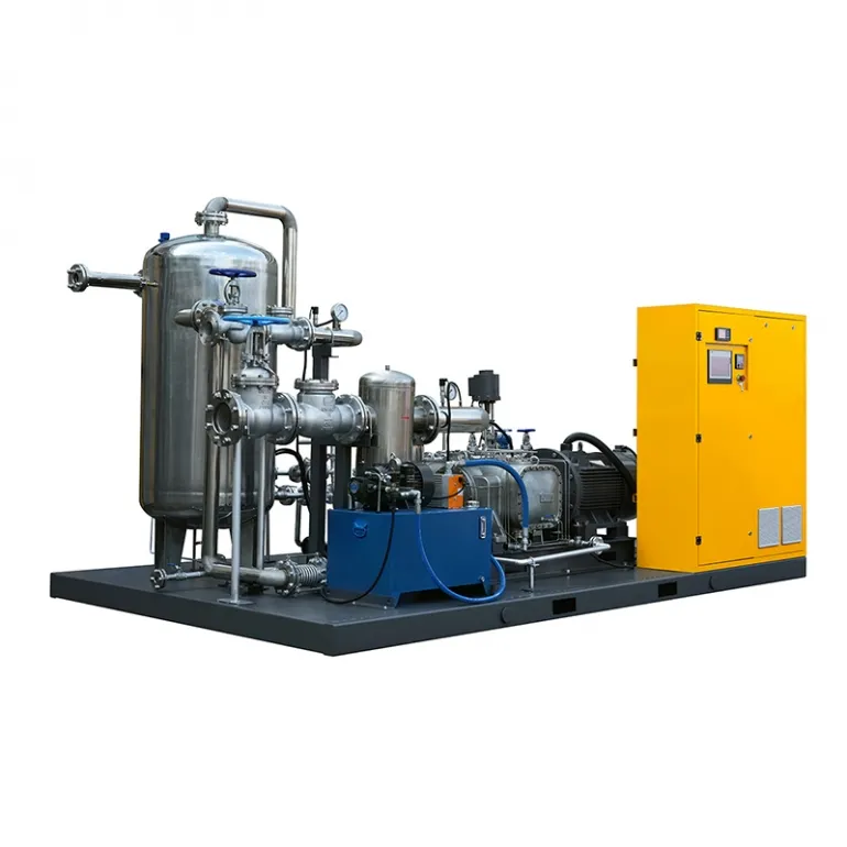 Screw Steam Compressor