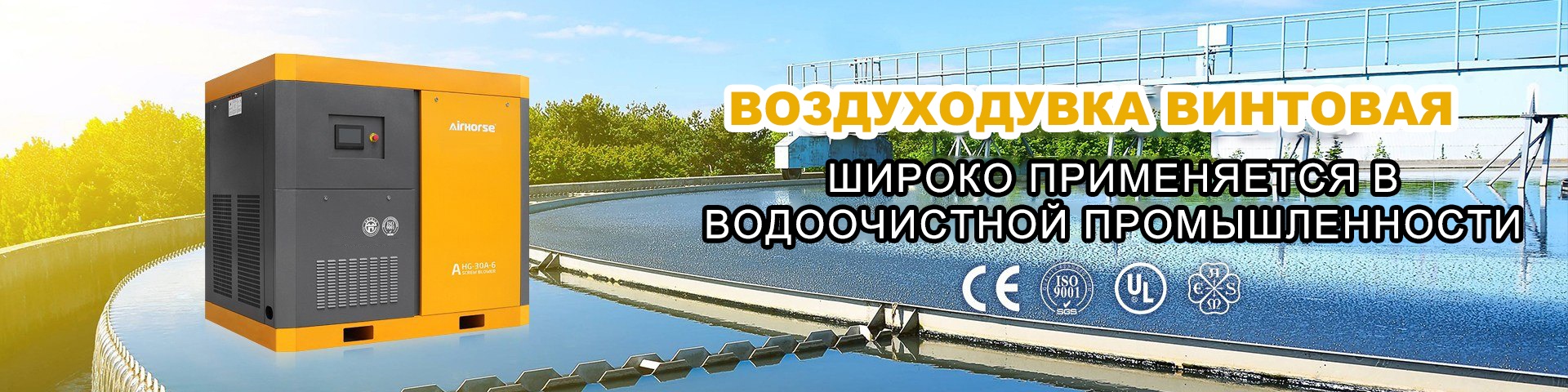 Главная